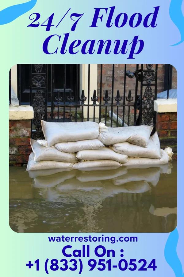 24/7 Flood Cleanup in Beulah, MI