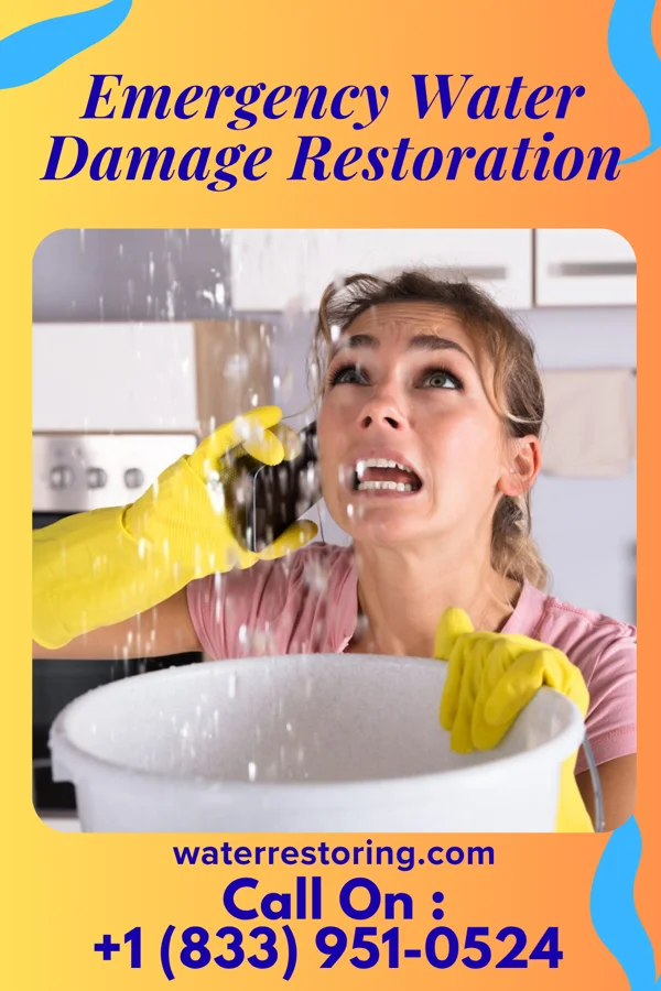 Emergency Water Damage Restoration in Beulah, MI
