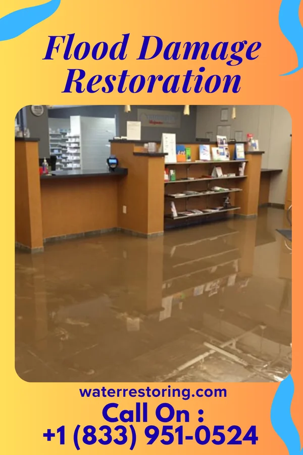 Flood Damage Restoration in Beulah, MI