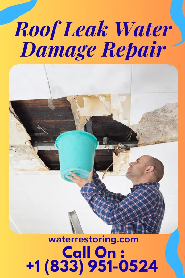 Roof Leak Water Damage Repair in Beulah, MI
