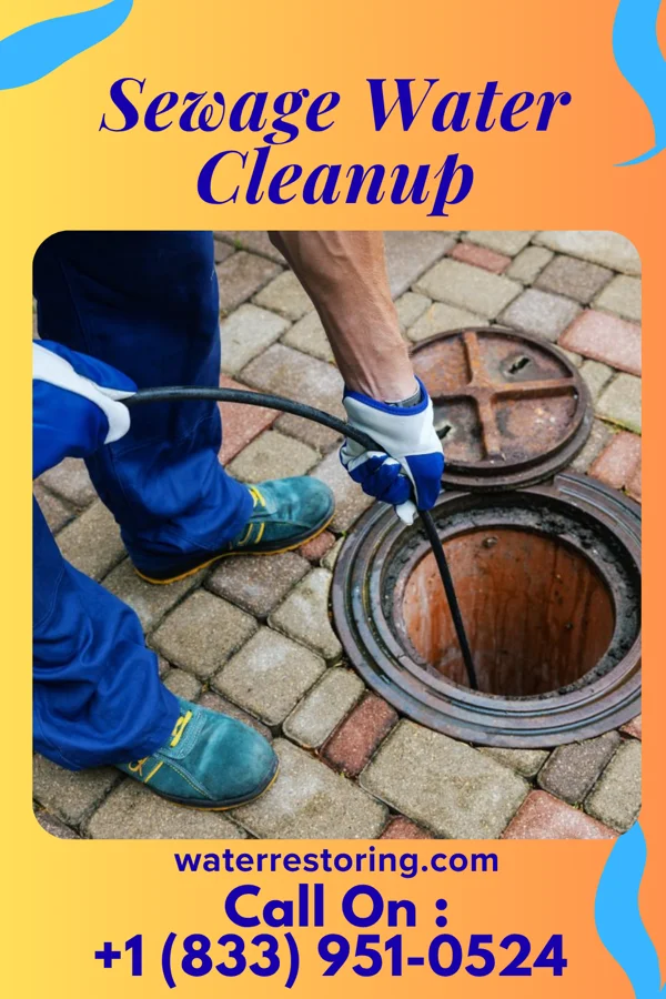 Sewage Water Cleanup in Beulah, MI