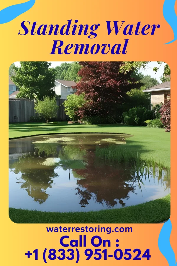 Standing Water Removal in Beulah, MI